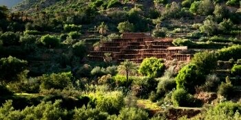 Inzerki; abeille; collectif; miel; patrimoine; rucher; tradition