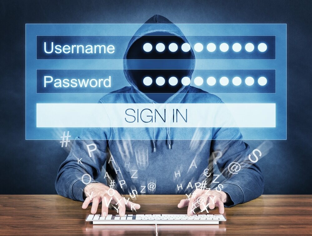 Cybercrimanilité