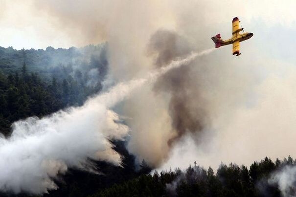 Un Canadair des FAR engagé contre le feu à Chefchaouen.