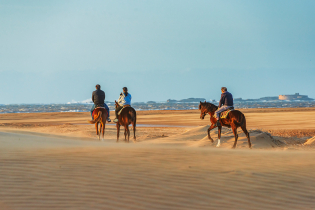 Essaouira