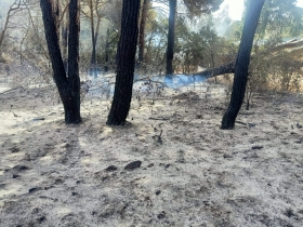 Incendir