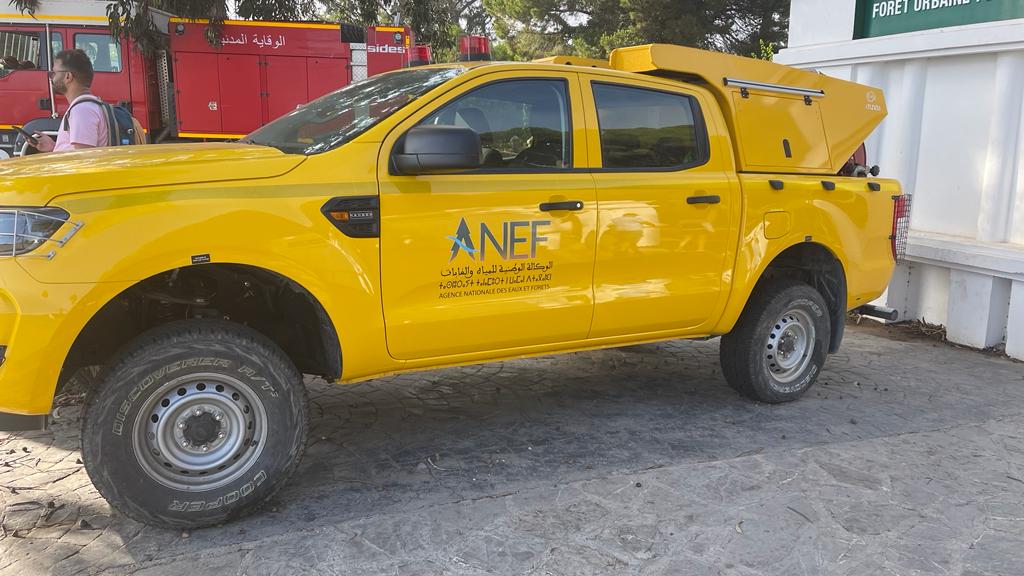 ANEF