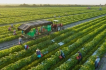 Une exploitation agricole au Maroc. Crédit : DR