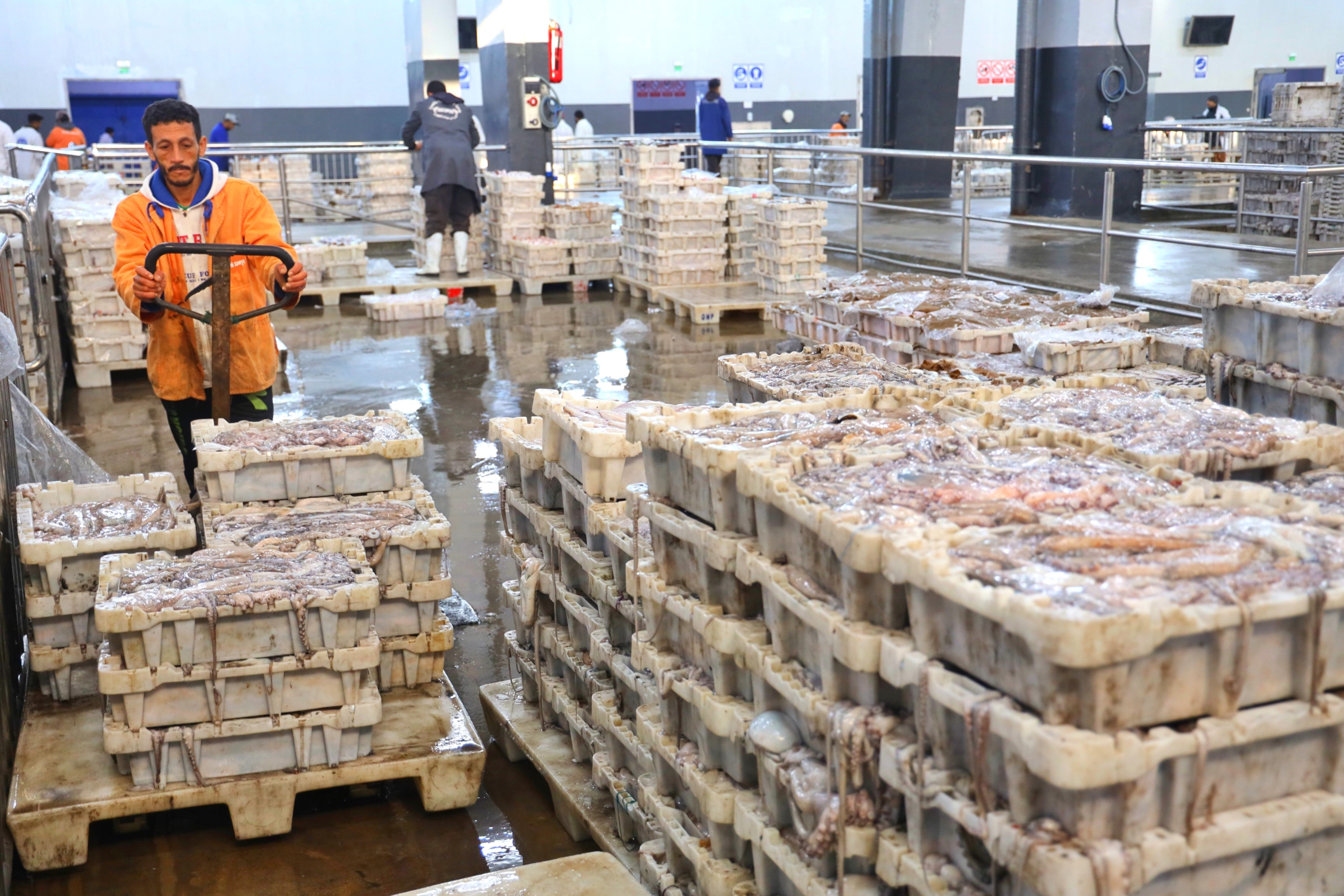 Une halle aux poissons dans une ville du sud du Maroc.