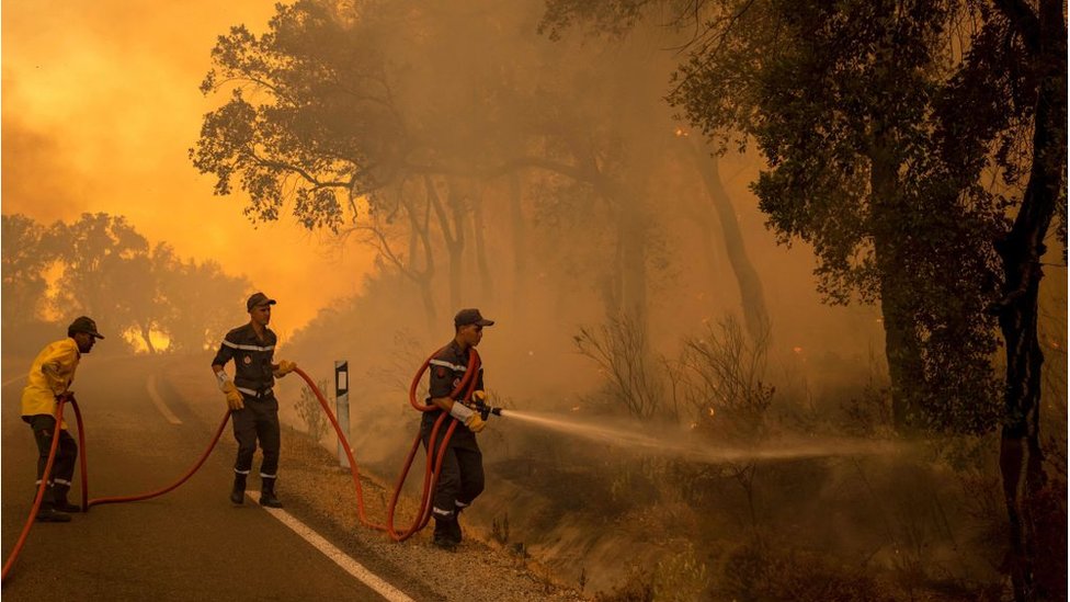 Des éléments de la Protection civile essayant de circonscrire un feu de forêt (Photo d'illustration). Crédit : DR