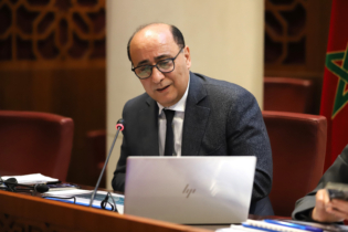 Hassan Boubrik, DG de la CNSS