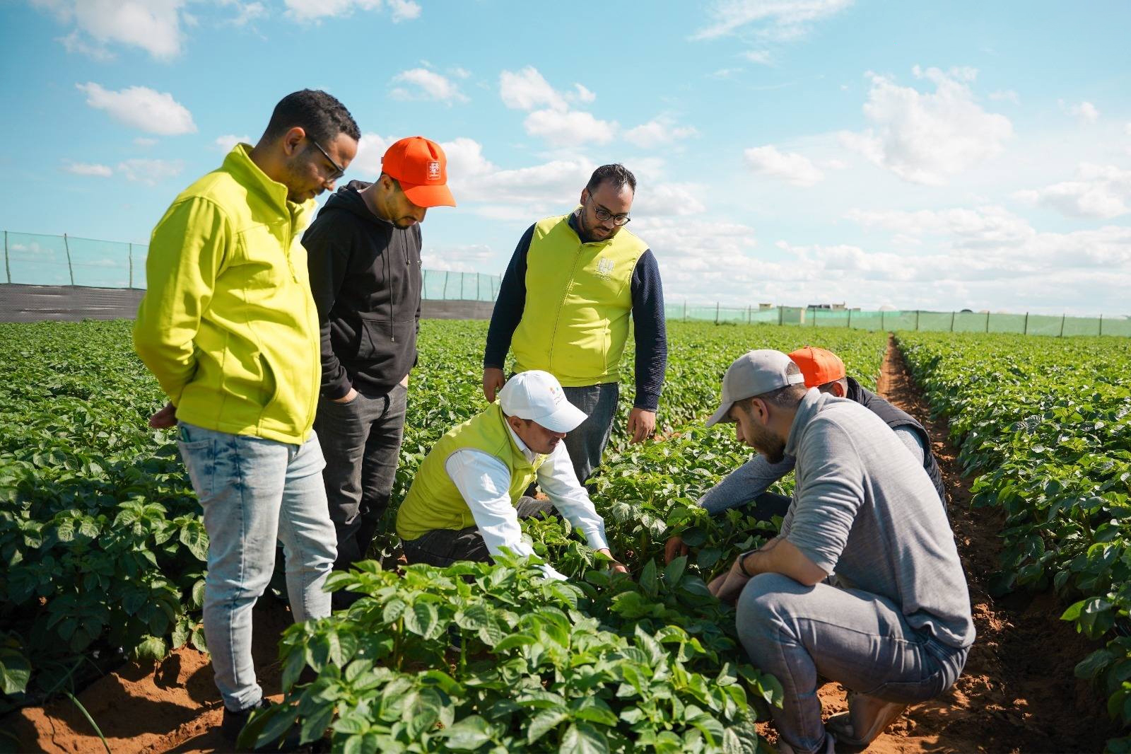 Des agriculteurs et des experts dans une exploitation agricole, dans le cadre du programme Al Moutmir.