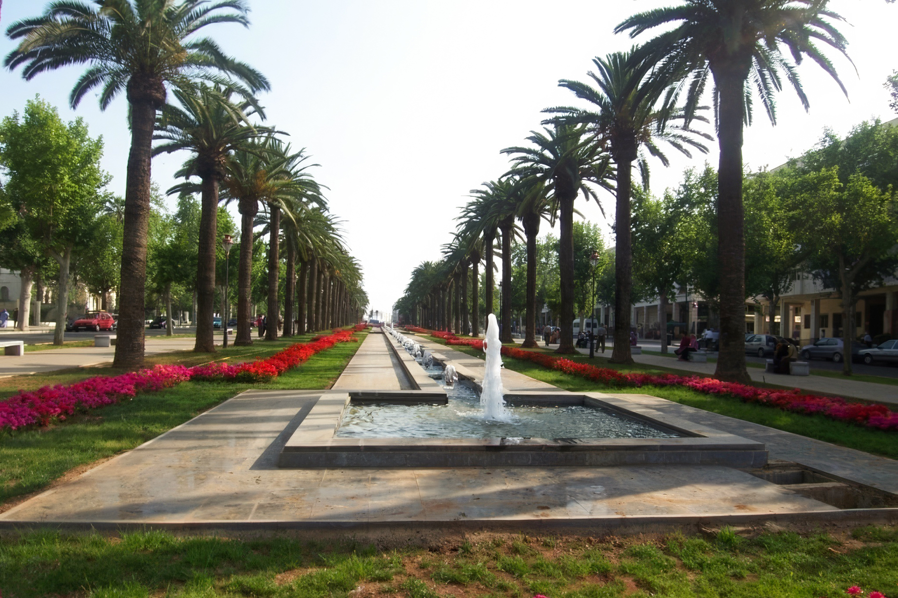 En dehors de la médina, la ville nouvelle de Fès offre modernité et allées plantées, comme ici sur l'avenue Hassan II.