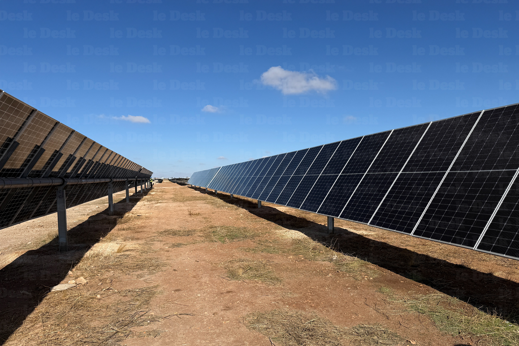 La ferme solaire d'Oulad Farès, à Khouribga, développée et exploitée par OCP Green Energy.