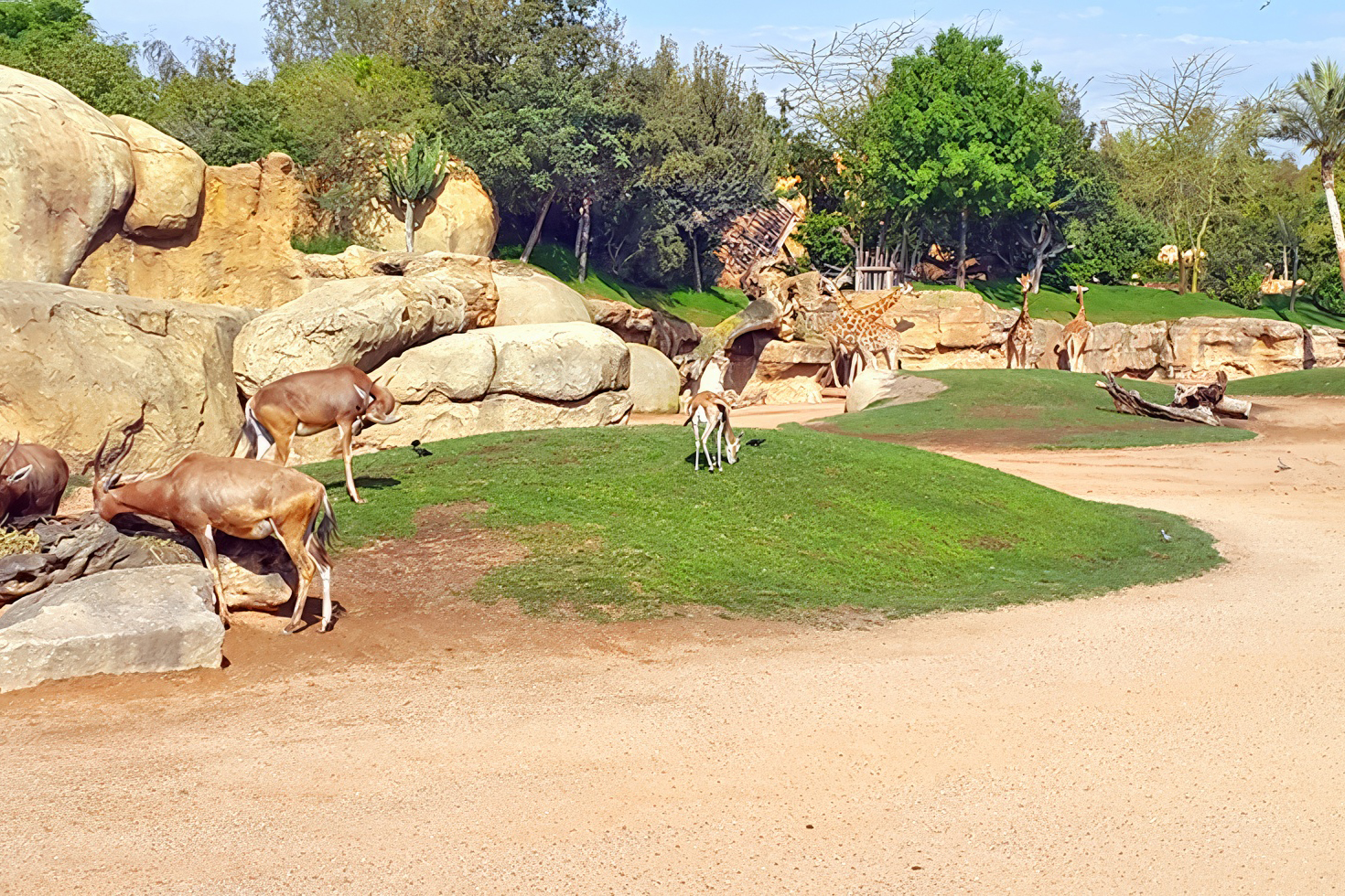 Dans le Parc zoologique Aïn Sebaa, à Casablanca.