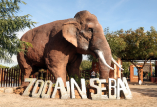Dans une allée du Parc zoologique Aïn Sebaâ, à Casablanca. Crédit : MAP