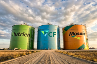 Nutrien, CF Industries et Mosaic, les trois principaux acteurs du marché américain des engrais phosphatés.