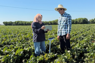 Visite d’une représentante du programme Al Moutmir dans une exploitation agricole.