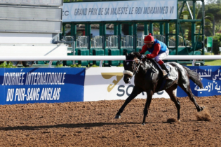 Une compétition équestre organisée par la Société royale d'encouragement du cheval (SOREC).