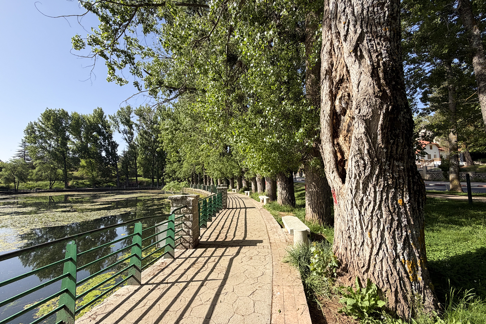 Le lac d'Ifrane, situé à quelques encablures du centre-ville, est le rendez-vous incontournable des promeneurs.