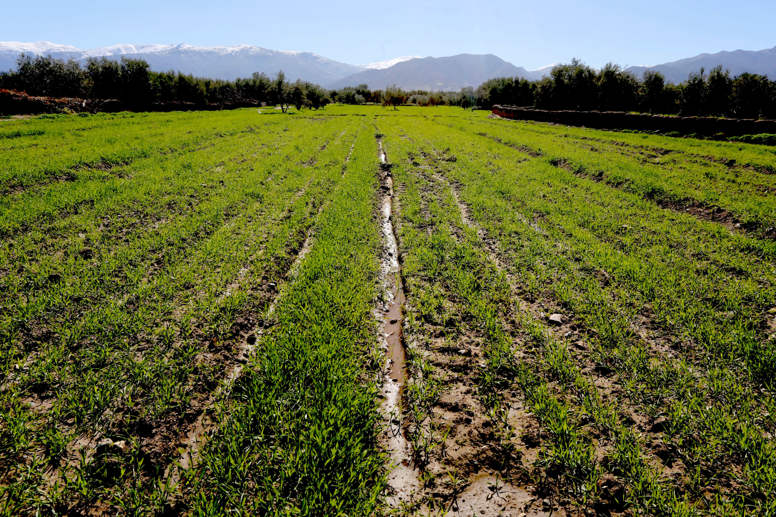le retour des pluies a hissé la croissance à son plus haut niveau en trois ans