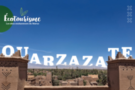Vue d'ensemble de l'une des oasis d'Ouarzazate.