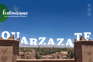 Vue d'ensemble de l'une des oasis d'Ouarzazate.