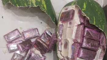 Des blocs de haschich dissimulés dans des coques en plastique imitant des pastèques, saisis par la police judiciaire de Tanger. Crédit : DGSN
